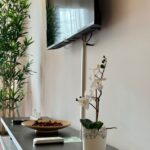 1f1f1558-4751-436e-a5b0-47bc2c0f36cc