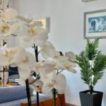 8c874dad-ce4a-4263-a9c4-44b51cd9c25d