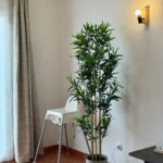 8e6724ad-7e91-4d65-a36a-34adcb651429