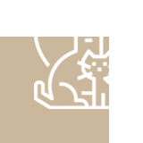 Animais de Estimação Permitidos